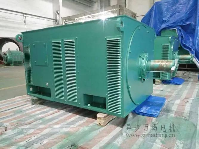 西瑪電機(jī)Y5603-10 560KW <a href=http://hntane-jy.com/new/new-47-621.html target='_blank'><a href=http://hntane-jy.com/new_tags_225.html target='_blank'>10kv高壓電機(jī)</a></a>